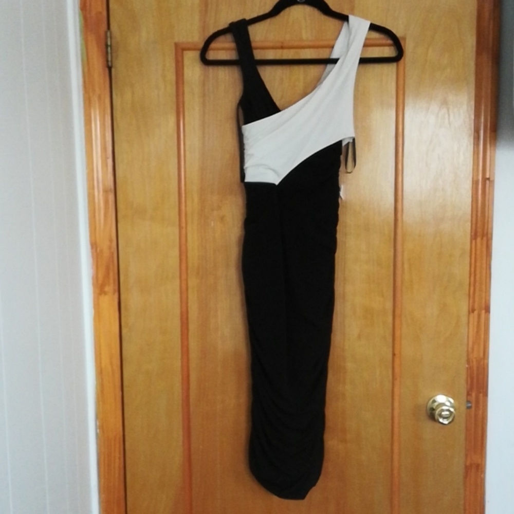Rachel Roy dress